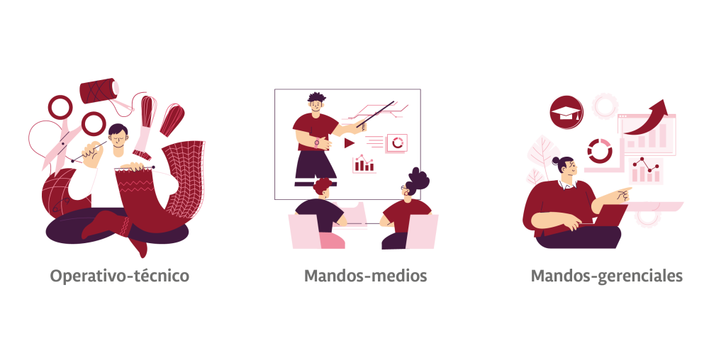 INSUMOS BLOGS 21
