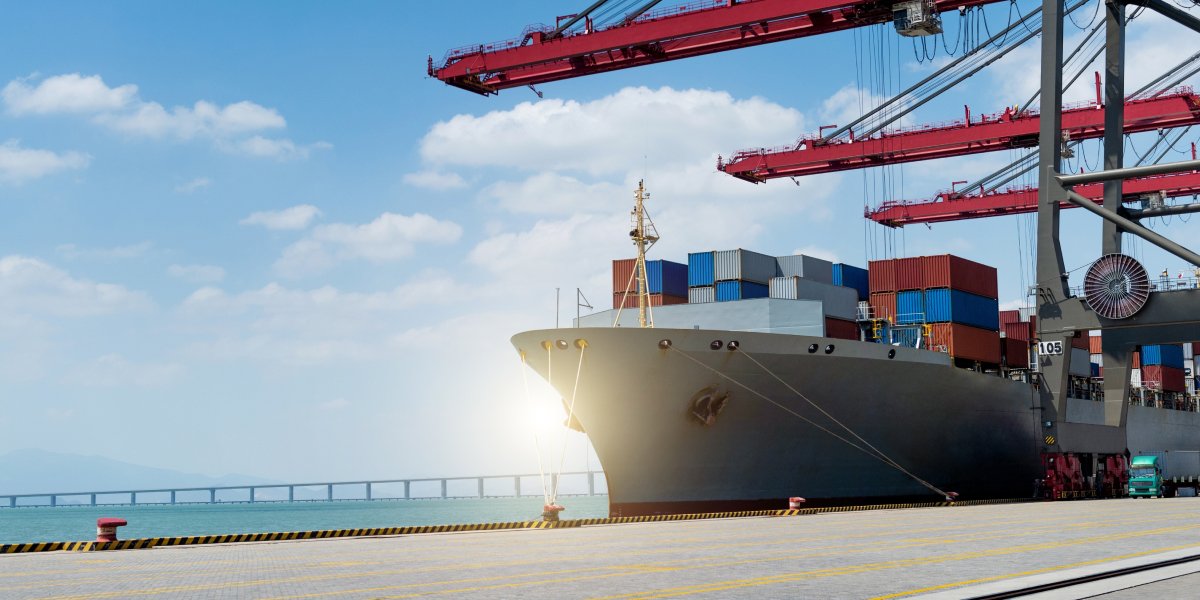 vias de importacion y
