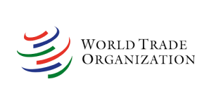 우리 17 wto