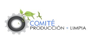 우리 27 comite produccion limpia