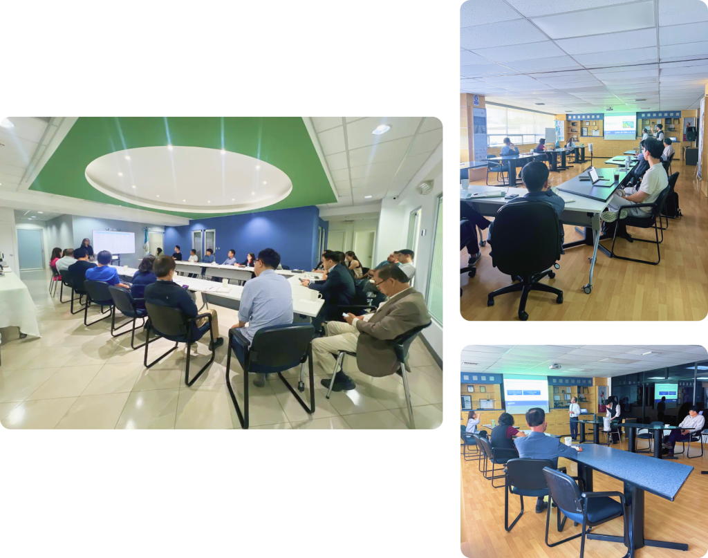 meetings sector coreano vestex