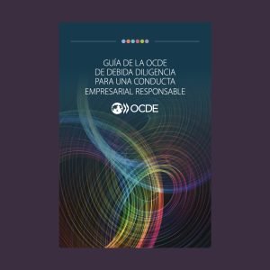 OECD Due Diligence Guidance for RECs