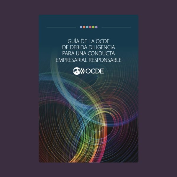 Guía OCDE de Debida Diligencia para CER