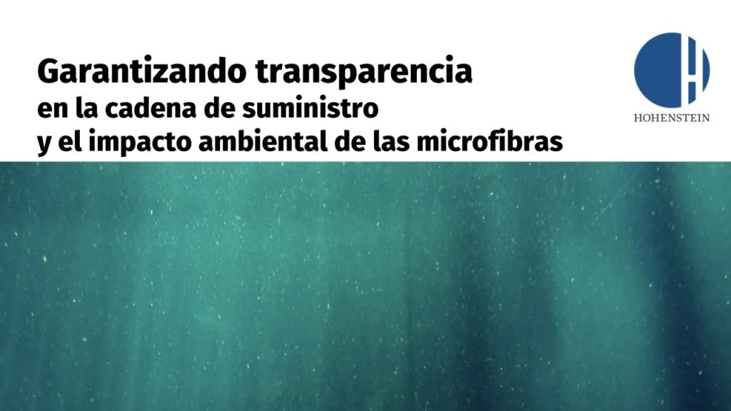 Hohenstein foro ambiental PPT