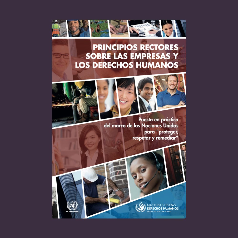 Principios Rectores de ONU sobre Empresas y DDHH